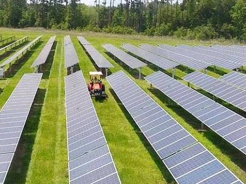 Technician spraying weed control near solar panel rows